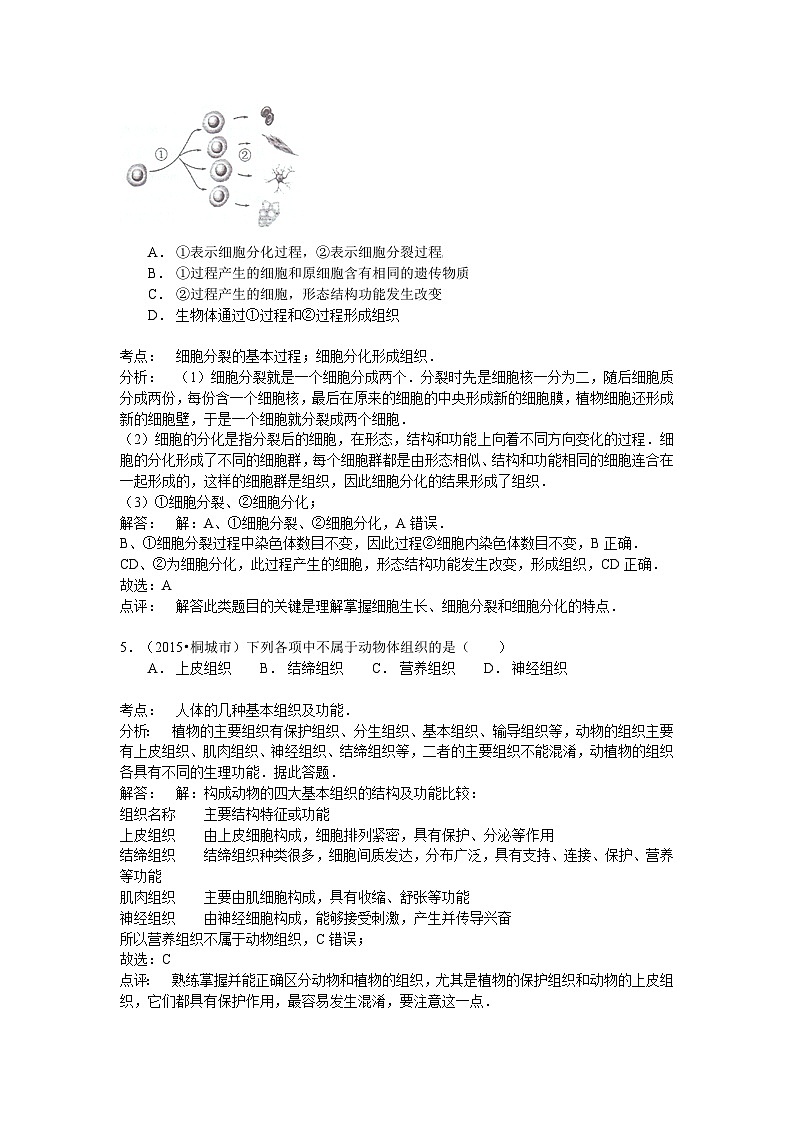 【全套精品专题】生物复习专题精讲 安徽省桐城市中考生物试卷解析03