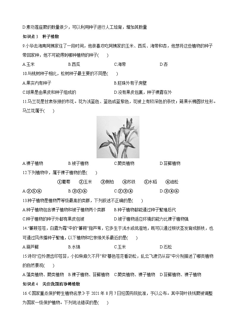 【全套精品专题】初中生物苏教版专题复习 5.14.1 五彩缤纷的植物世界 同步练习（解析版）02