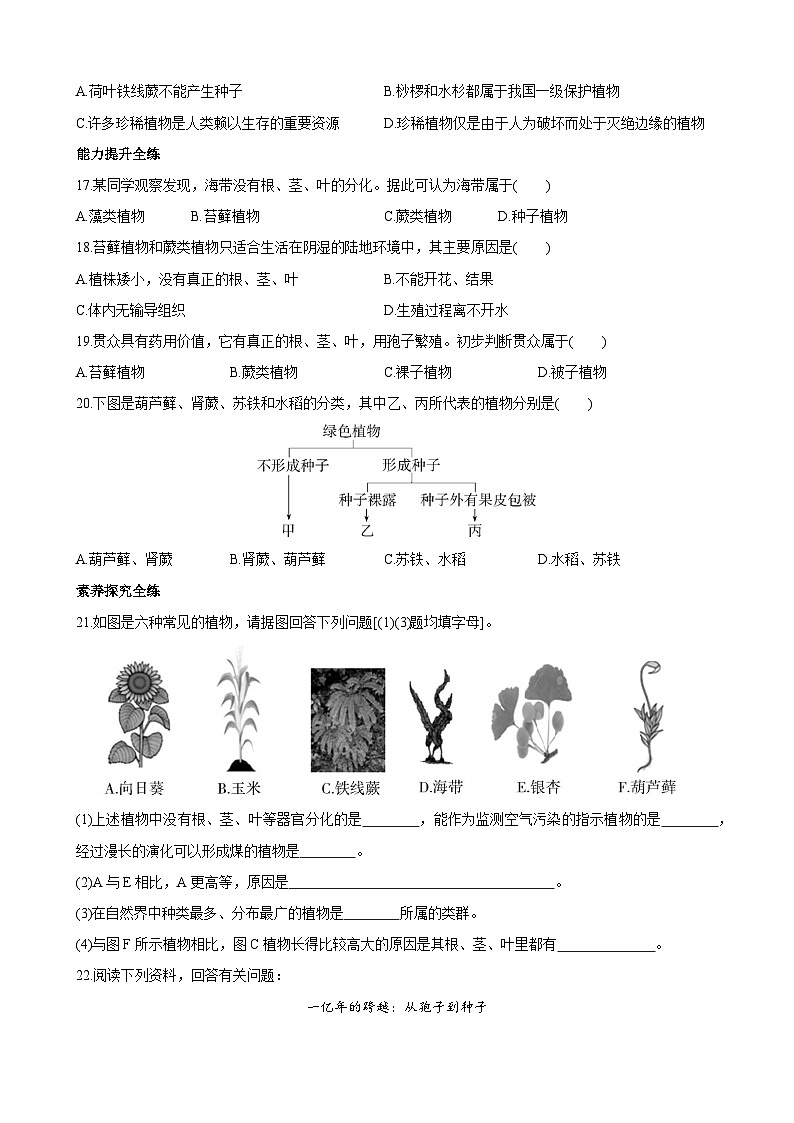 【全套精品专题】初中生物苏教版专题复习 5.14.1 五彩缤纷的植物世界 同步练习（解析版）03