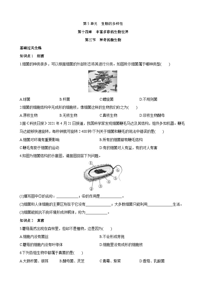 【全套精品专题】初中生物苏教版专题复习 5.14.3 神奇的微生物 同步练习（解析版）01