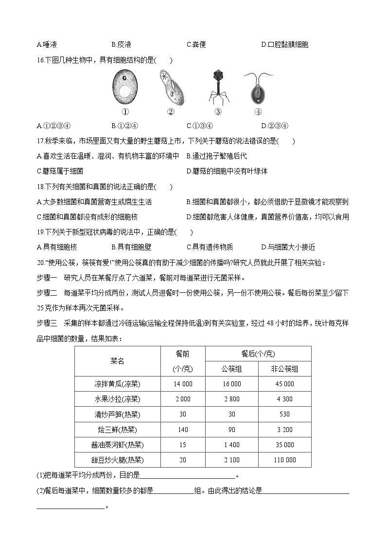 【全套精品专题】初中生物苏教版专题复习 5.14.3 神奇的微生物 同步练习（解析版）03