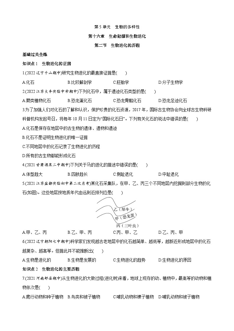 【全套精品专题】初中生物苏教版专题复习 5.16.2 生物进化的历程 同步练习（解析版）01