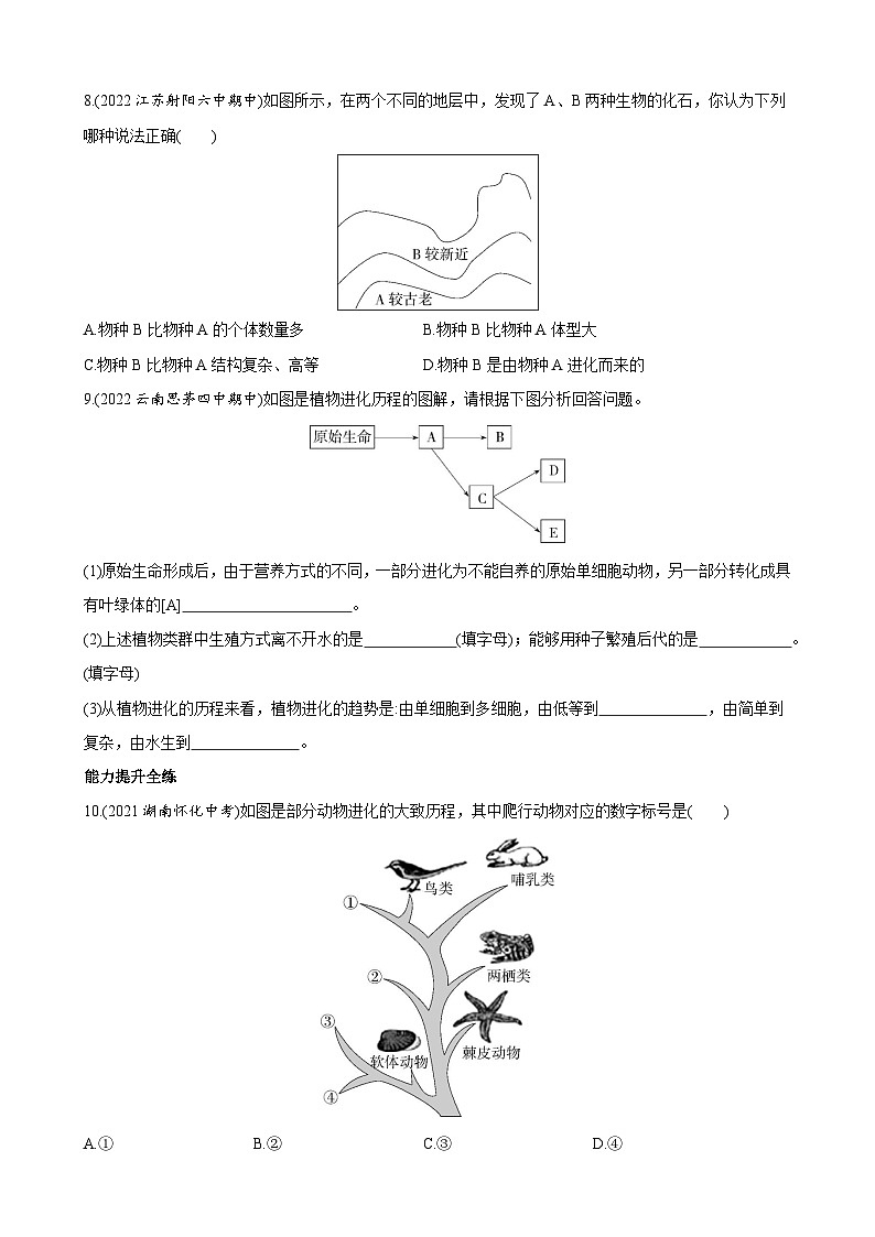 【全套精品专题】初中生物苏教版专题复习 5.16.2 生物进化的历程 同步练习（解析版）02