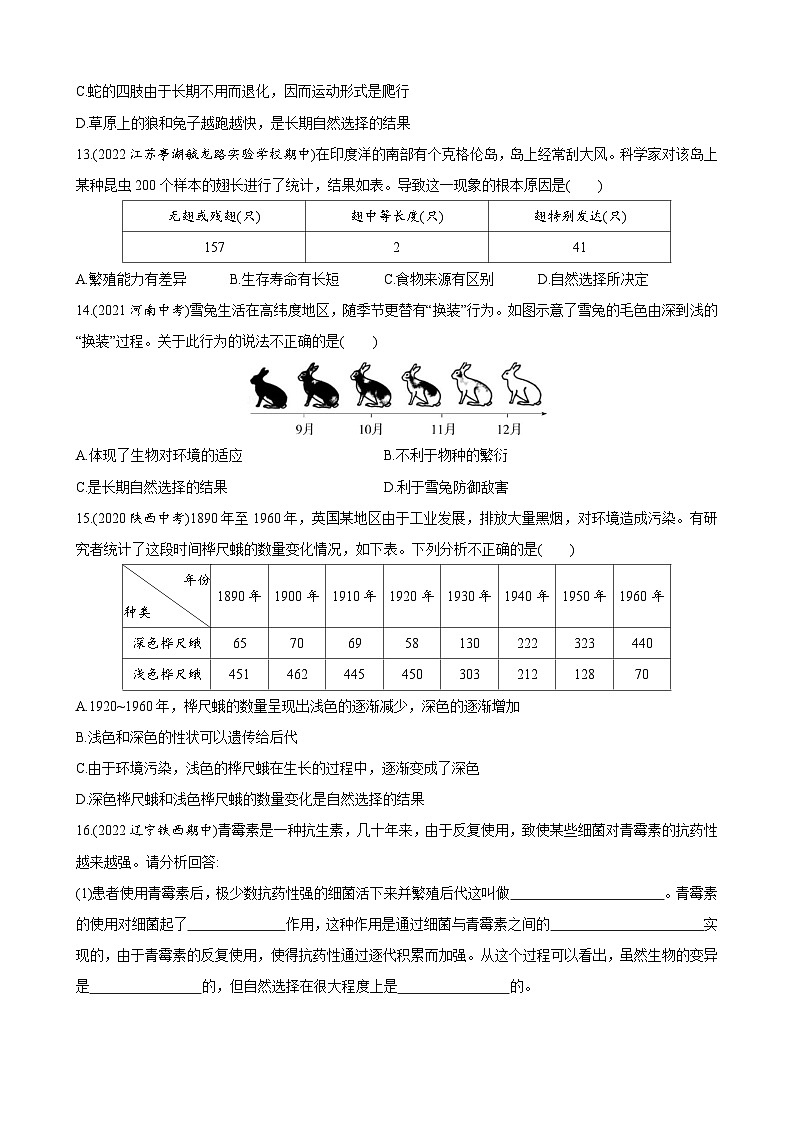 【全套精品专题】初中生物苏教版专题复习 5.16.3 生物进化的学说 同步练习（解析版）03
