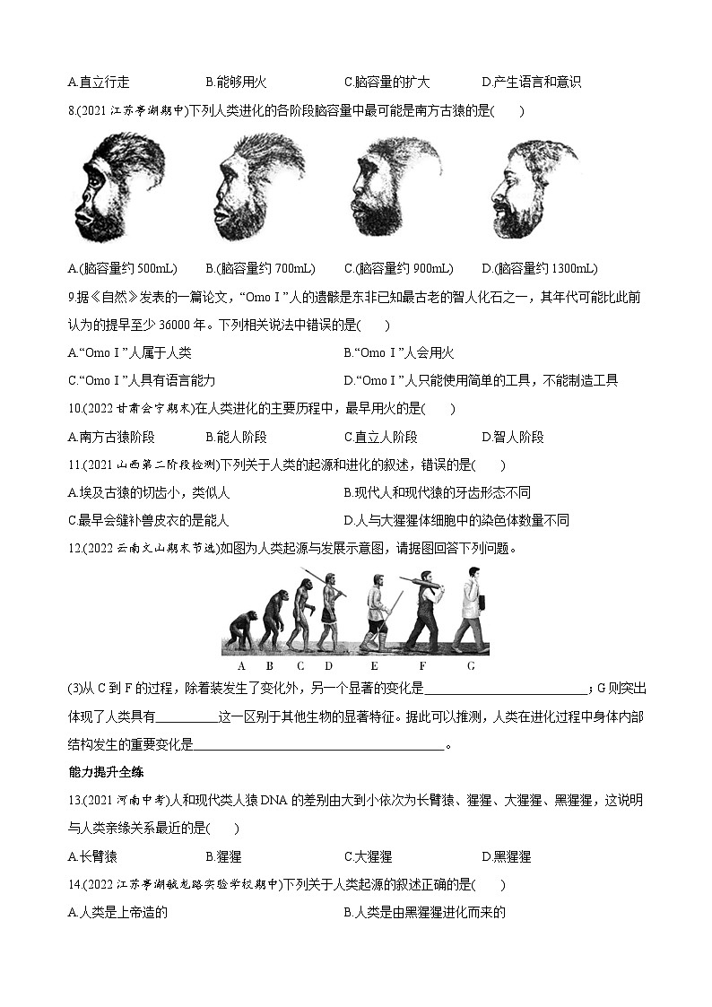 【全套精品专题】初中生物苏教版专题复习 5.16.4 人类的起源和进化 同步练习（解析版）02