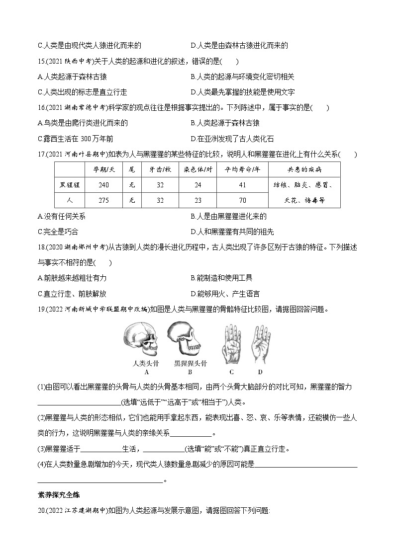 【全套精品专题】初中生物苏教版专题复习 5.16.4 人类的起源和进化 同步练习（解析版）03