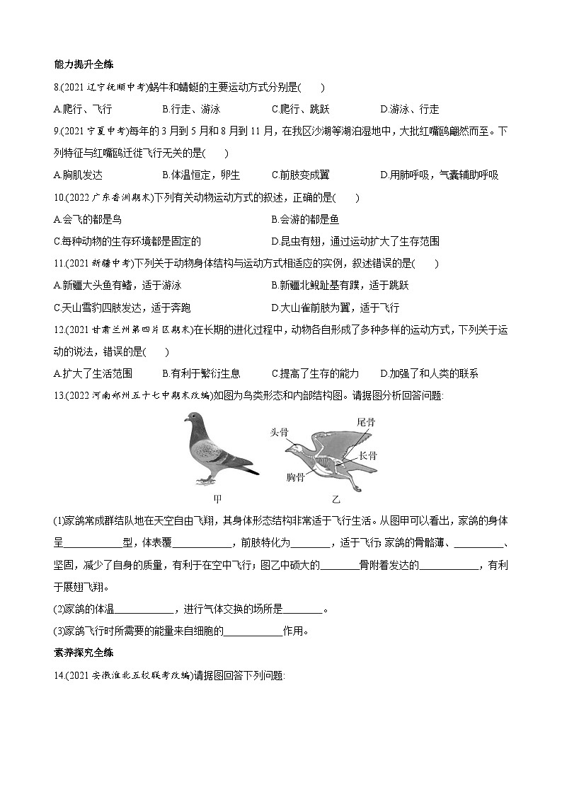 【全套精品专题】初中生物苏教版专题复习 6.17.1 动物运动的形式和能量供应 同步练习（解析版）02