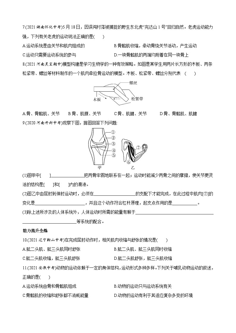 【全套精品专题】初中生物苏教版专题复习 6.17.2 动物的运动依赖于一定的结构 同步练习（解析版）02