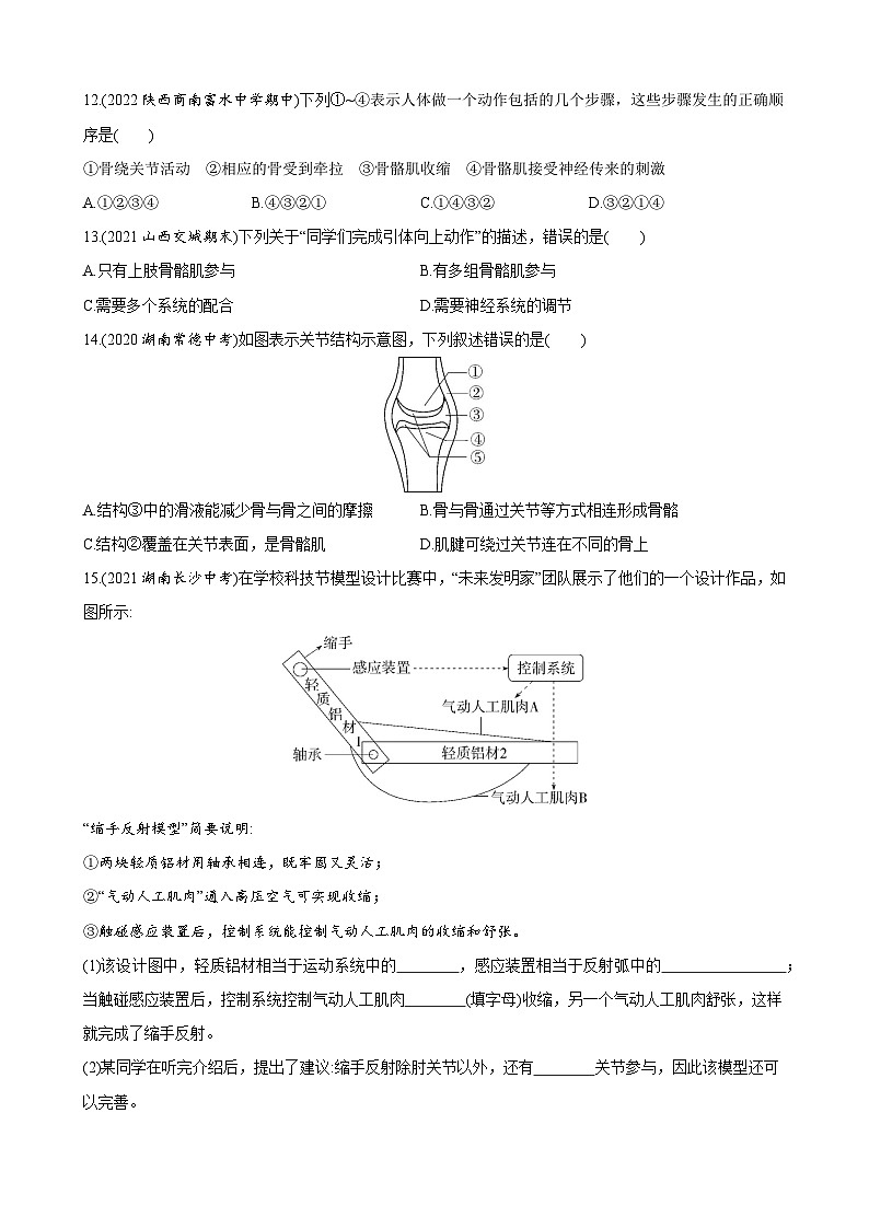 【全套精品专题】初中生物苏教版专题复习 6.17.2 动物的运动依赖于一定的结构 同步练习（解析版）03