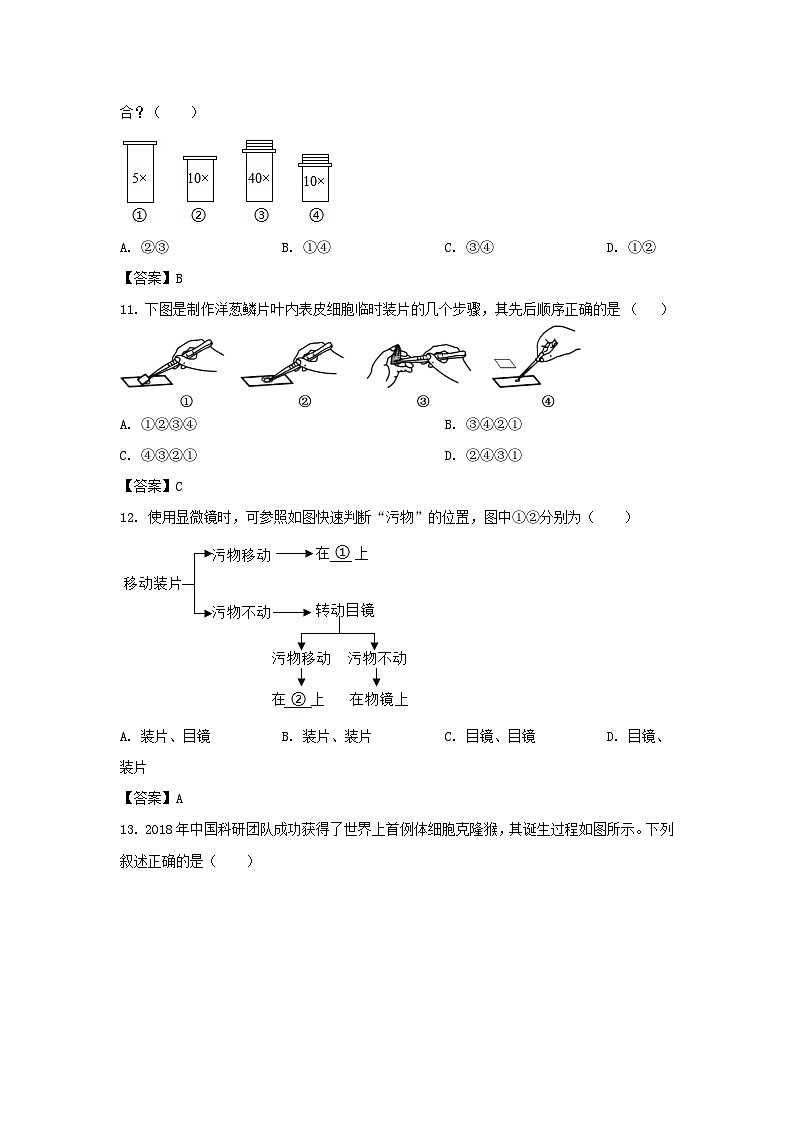 2020-2021学年广东深圳罗湖区七年级上册期末生物试卷及答案03