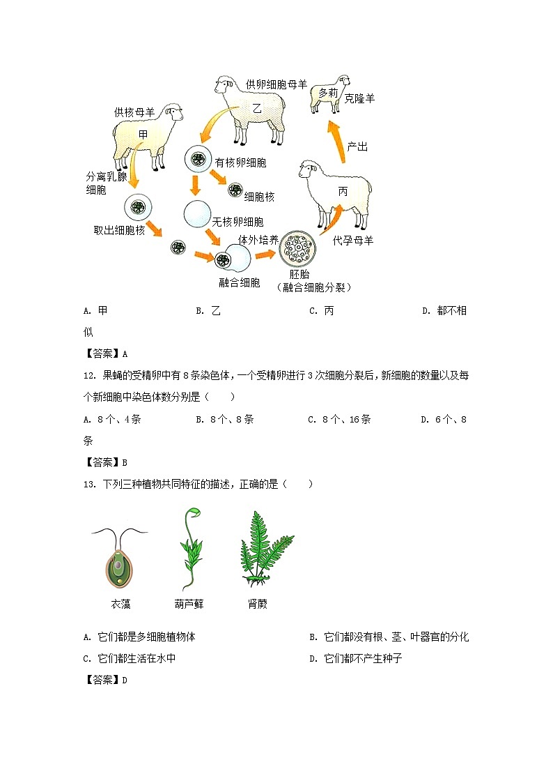 2022-2023学年天津市红桥区七年级上册期末生物试卷及答案第3页
