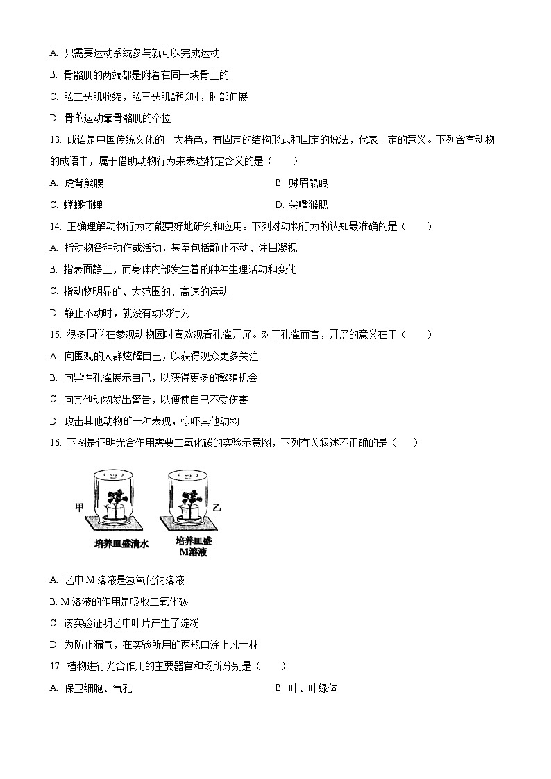【全套精品专题】初中生物八年级复习专题精讲 【冀少版】八年级上册生物期末测试卷05（带解析）03