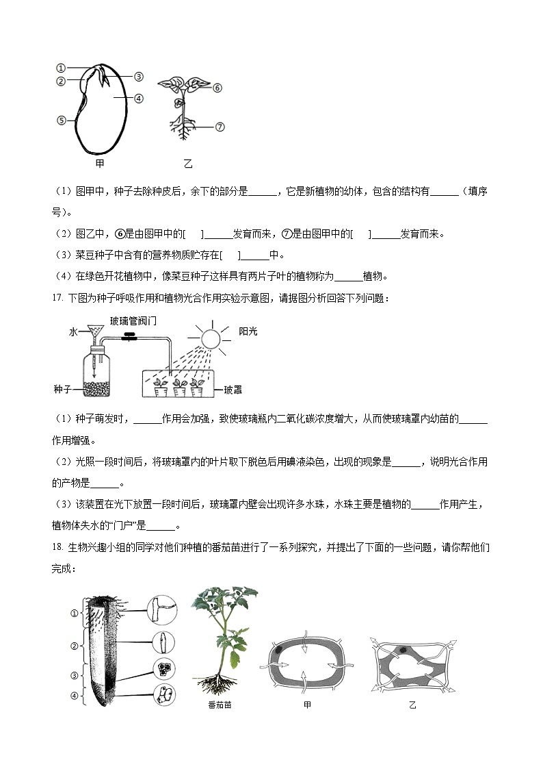 【全套精品专题】初中生物八年级复习专题精讲 八上生物：【冀少】期中模拟卷【范围：第三单元】（带解析）03