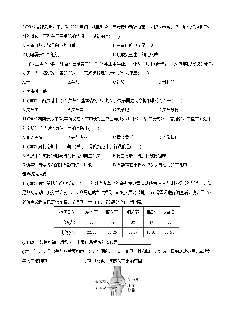 【全套精品专题】初中生物八年级复习专题精讲 4.1.1 运动的基础 同步练习（带解析）第2页
