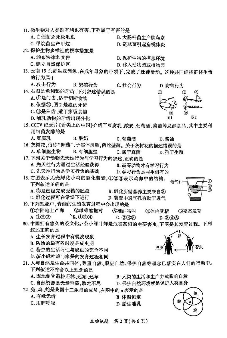 福建省厦门市2023-2024学年八年级上学期期末生物试卷02