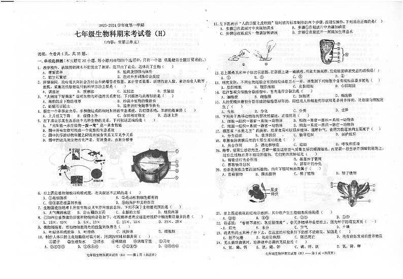广东省汕头市潮南区2023-2024学年七年级上学期期末生物试题01