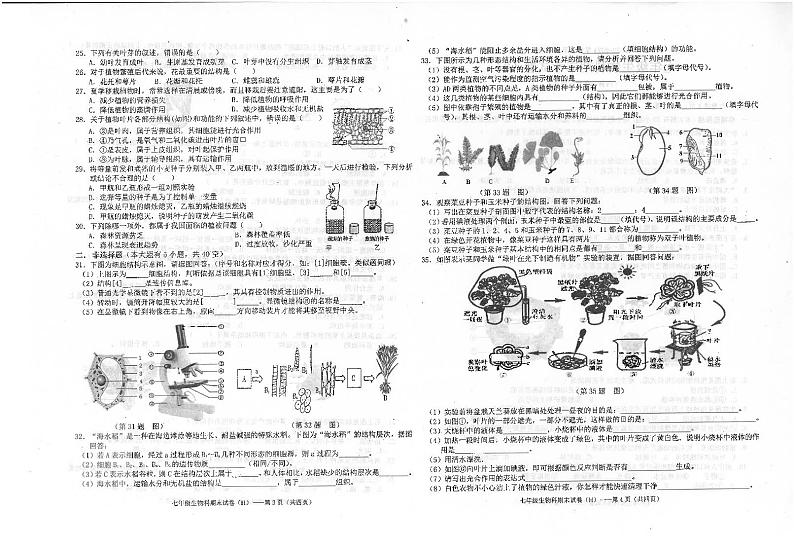 广东省汕头市潮南区2023-2024学年七年级上学期期末生物试题02
