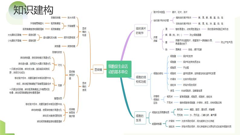 专题02 细胞是生命活动的基本单位（课件）-2024年中考生物一轮复习讲练测（全国通用）06