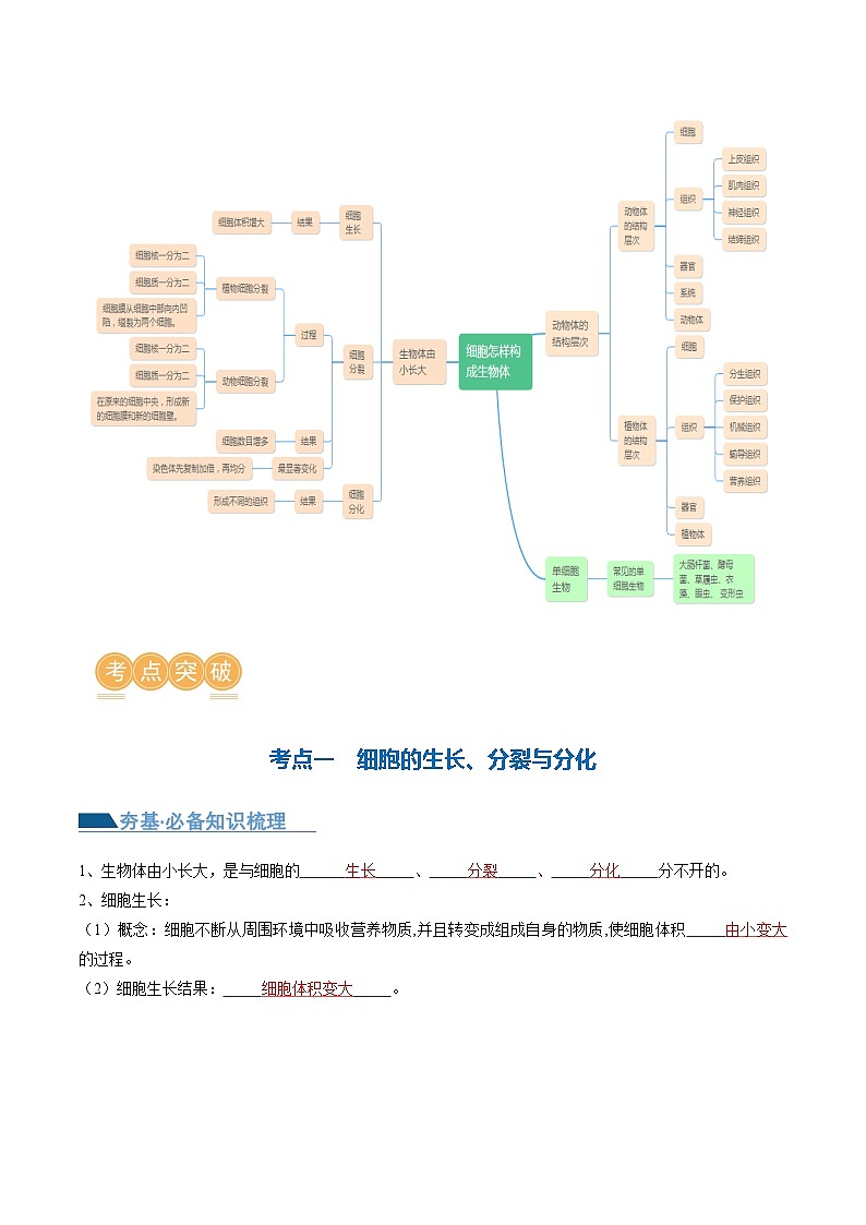 专题03 细胞怎样构成生物体（讲义）-2024年中考生物一轮复习讲练测（全国通用）03