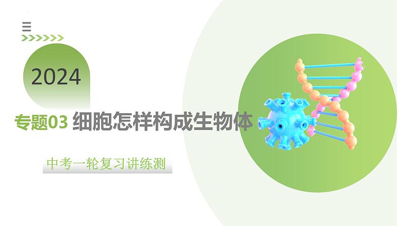 专题03 细胞怎样构成生物体（课件）-2024年中考生物一轮复习讲练测（全国通用）01