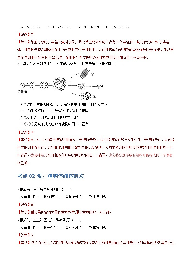 专题03 细胞怎样构成生物体（练习）-2024年中考生物一轮复习讲练测（全国通用）03