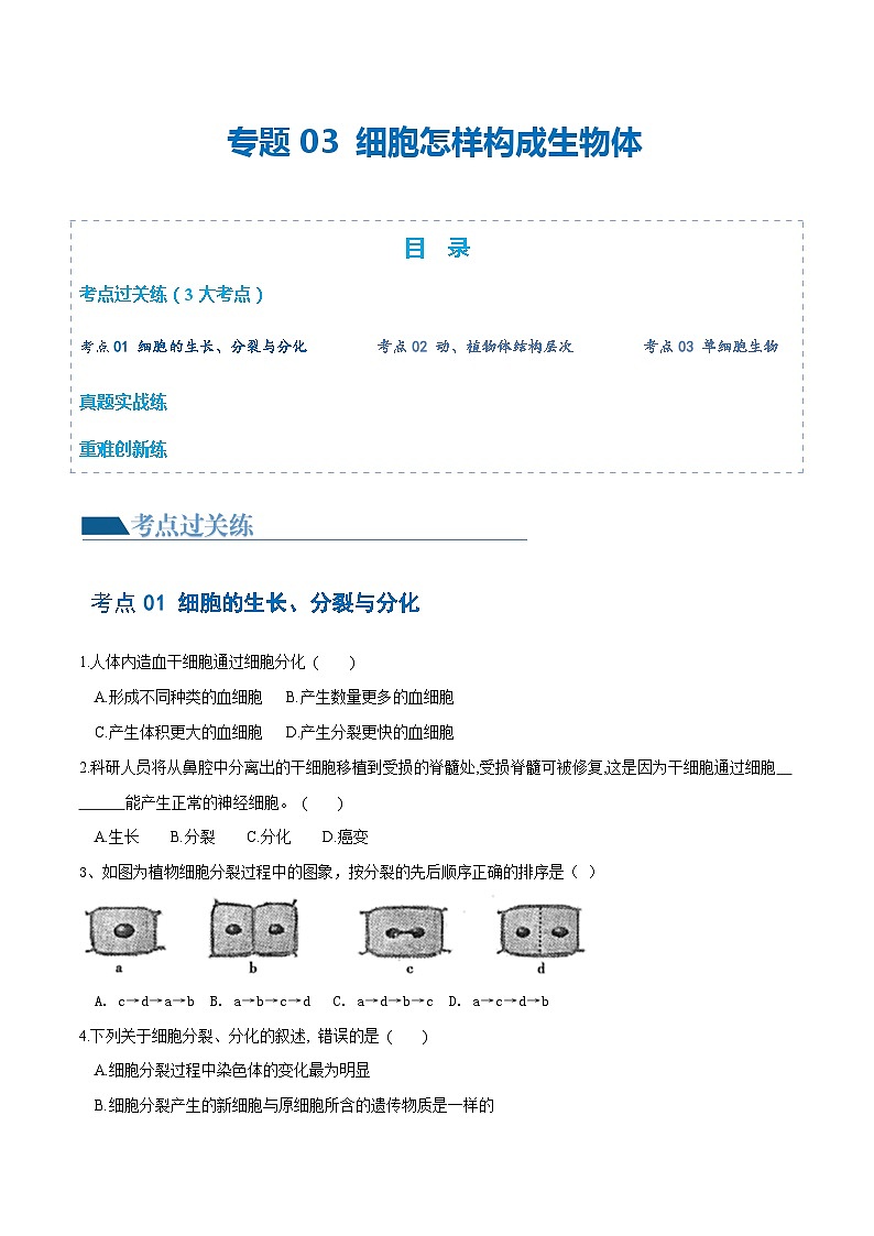 专题03 细胞怎样构成生物体（练习）-2024年中考生物一轮复习讲练测（全国通用）01
