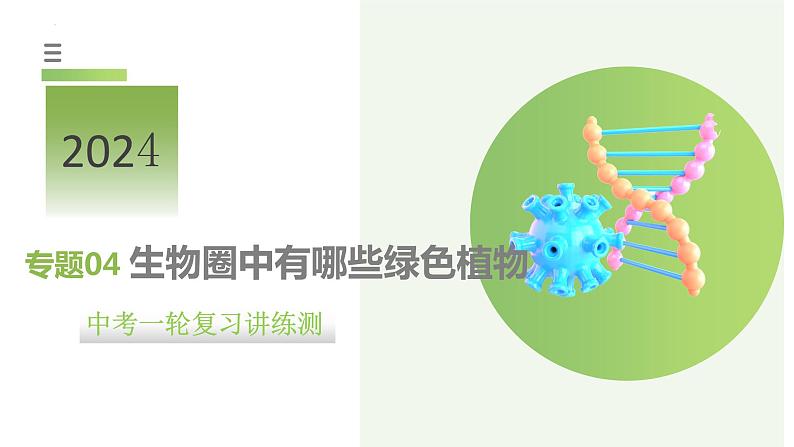 专题04 生物圈中有哪些绿色植物（课件）-2024年中考生物一轮复习讲练测（全国通用）第1页