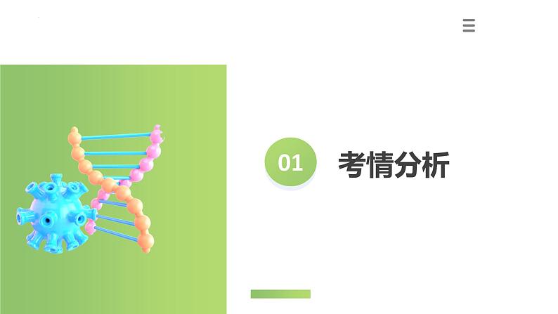 专题04 生物圈中有哪些绿色植物（课件）-2024年中考生物一轮复习讲练测（全国通用）第3页