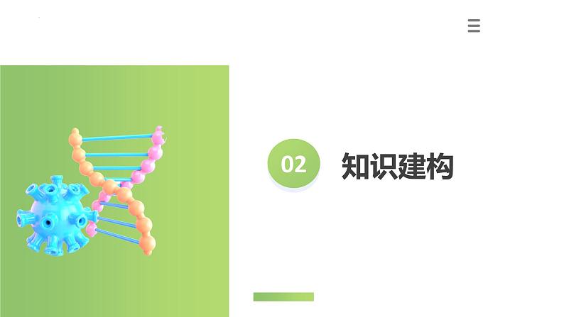 专题04 生物圈中有哪些绿色植物（课件）-2024年中考生物一轮复习讲练测（全国通用）第5页