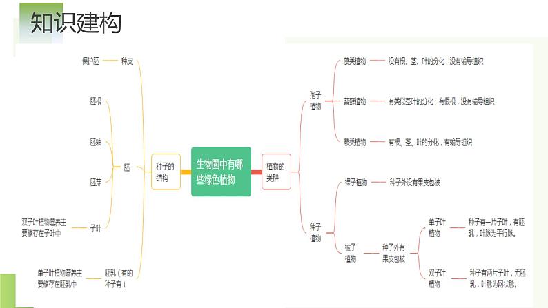 专题04 生物圈中有哪些绿色植物（课件）-2024年中考生物一轮复习讲练测（全国通用）第6页