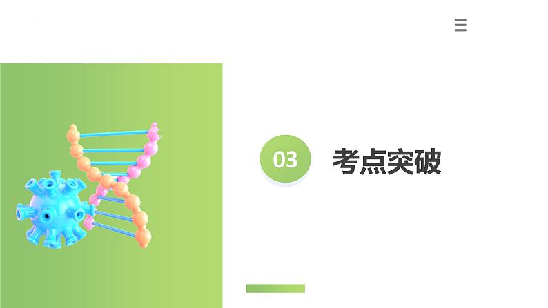 专题04 生物圈中有哪些绿色植物（课件）-2024年中考生物一轮复习讲练测（全国通用）第7页