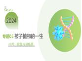 专题05 被子植物的一生（课件）-2024年中考生物一轮复习讲练测（全国通用）
