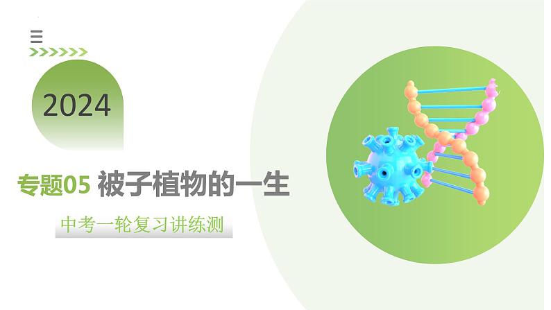 专题05 被子植物的一生（课件）-2024年中考生物一轮复习讲练测（全国通用）第1页