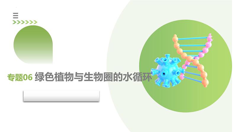 专题06 绿色植物与生物圈的水循环（课件） -2024年中考生物一轮复习讲练测（全国通用）第1页