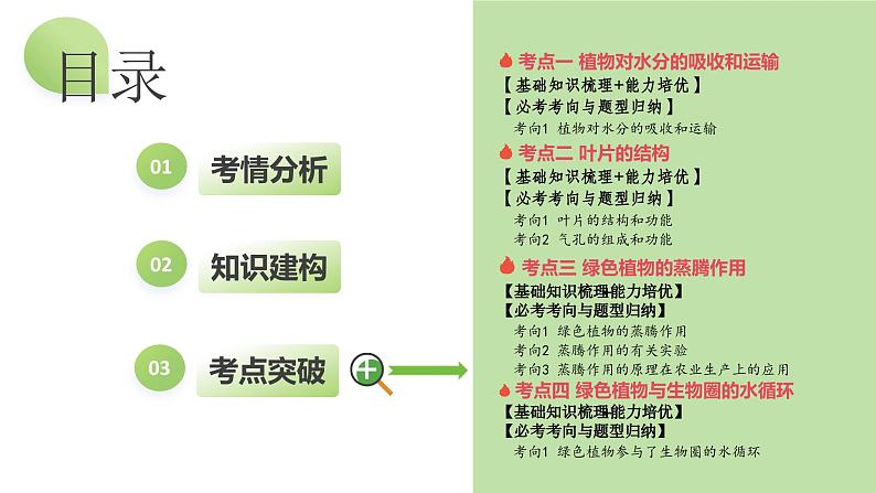 专题06 绿色植物与生物圈的水循环（课件） -2024年中考生物一轮复习讲练测（全国通用）第2页