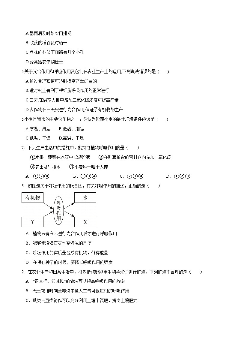 专题08 绿色植物的呼吸作用（练习）-2024年中考生物一轮复习讲练测（全国通用）02