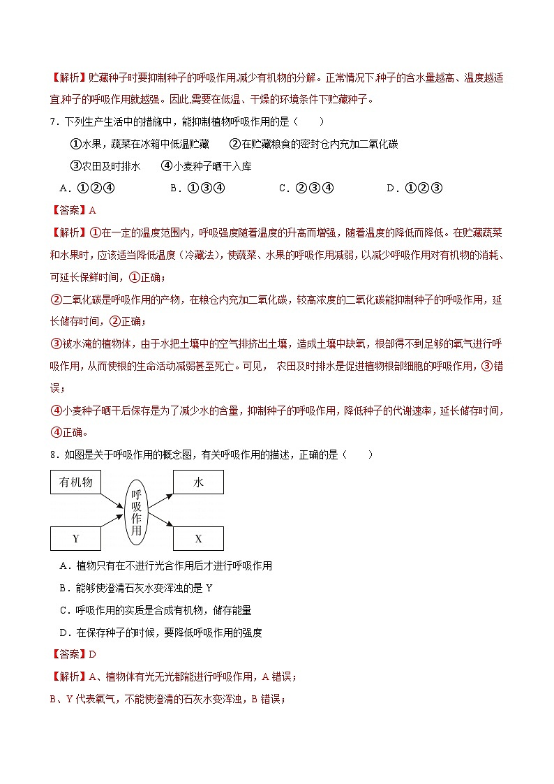 专题08 绿色植物的呼吸作用（练习）-2024年中考生物一轮复习讲练测（全国通用）03