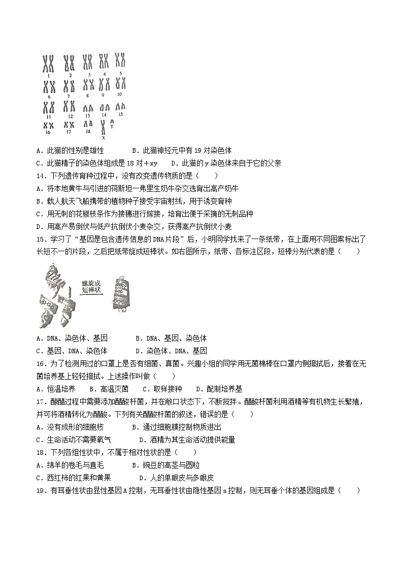2022-2023学年河南省驻马店市遂平县八年级上学期期末生物试题及答案第3页