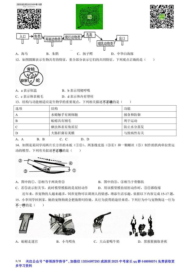 广东省深圳市龙岗区2023-2024学年八年级上学期期末生物试题(无答案)第3页