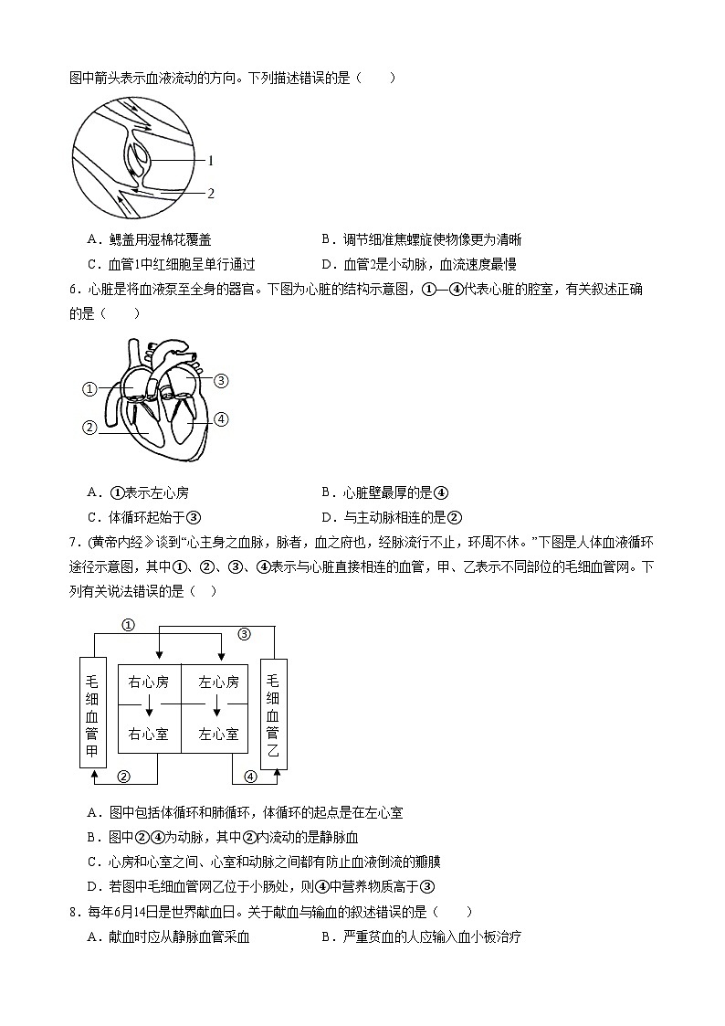 【苏科】期中模拟卷【范围：第15~17章】第2页