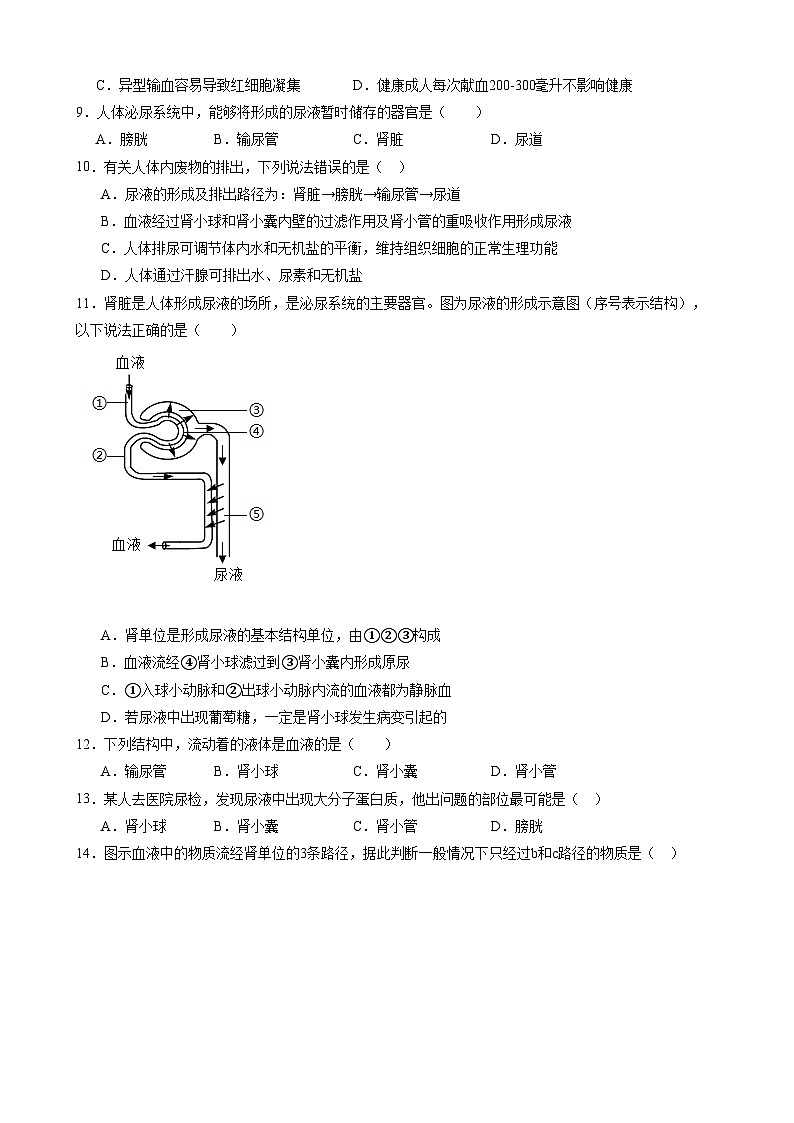 【苏科】期中模拟卷【范围：第15~17章】第3页