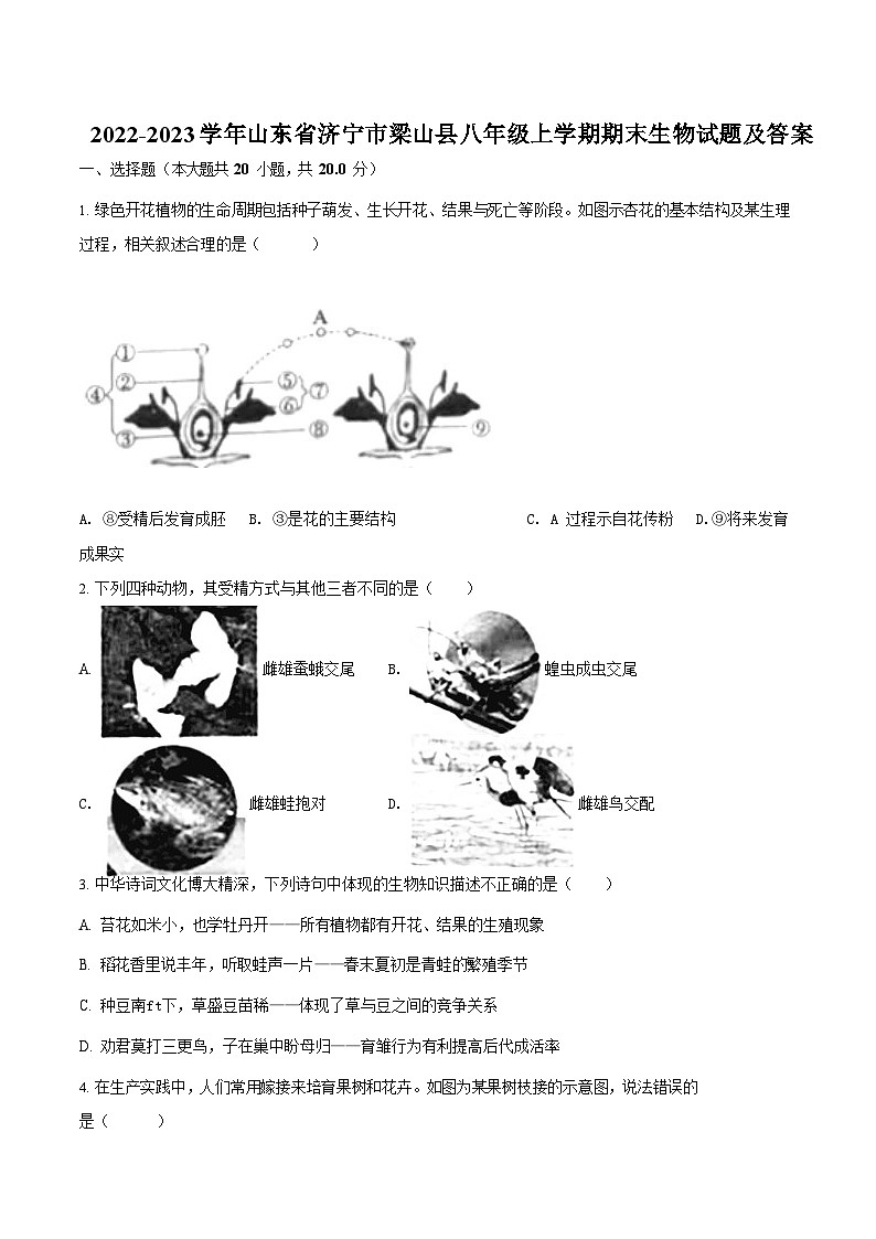2022-2023学年山东省济宁市梁山县八年级上学期期末生物试题及答案第1页