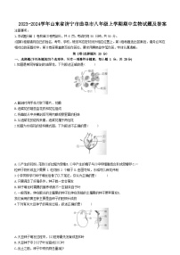 2023-2024学年山东省济宁市曲阜市八年级上学期期中生物试题及答案