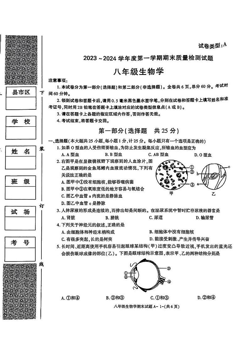陕西省富平县2023-2024学年八年级上学期期末质量检测生物试题第1页