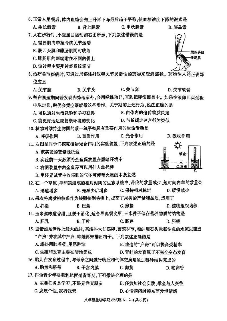 陕西省富平县2023-2024学年八年级上学期期末质量检测生物试题第2页