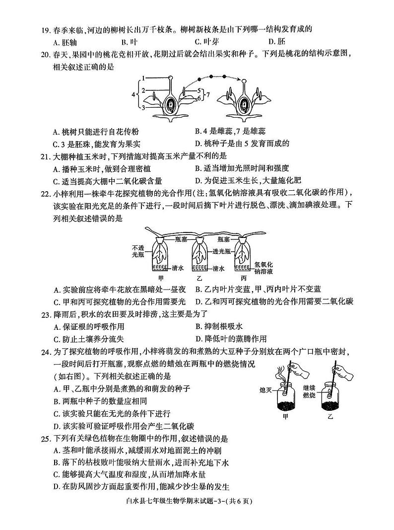 陕西省渭南市白水县2023-2024学年七年级上学期期末生物试题第3页