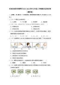 河南省洛阳市偃师区2023-2024学年七年级上学期期末生物试卷+