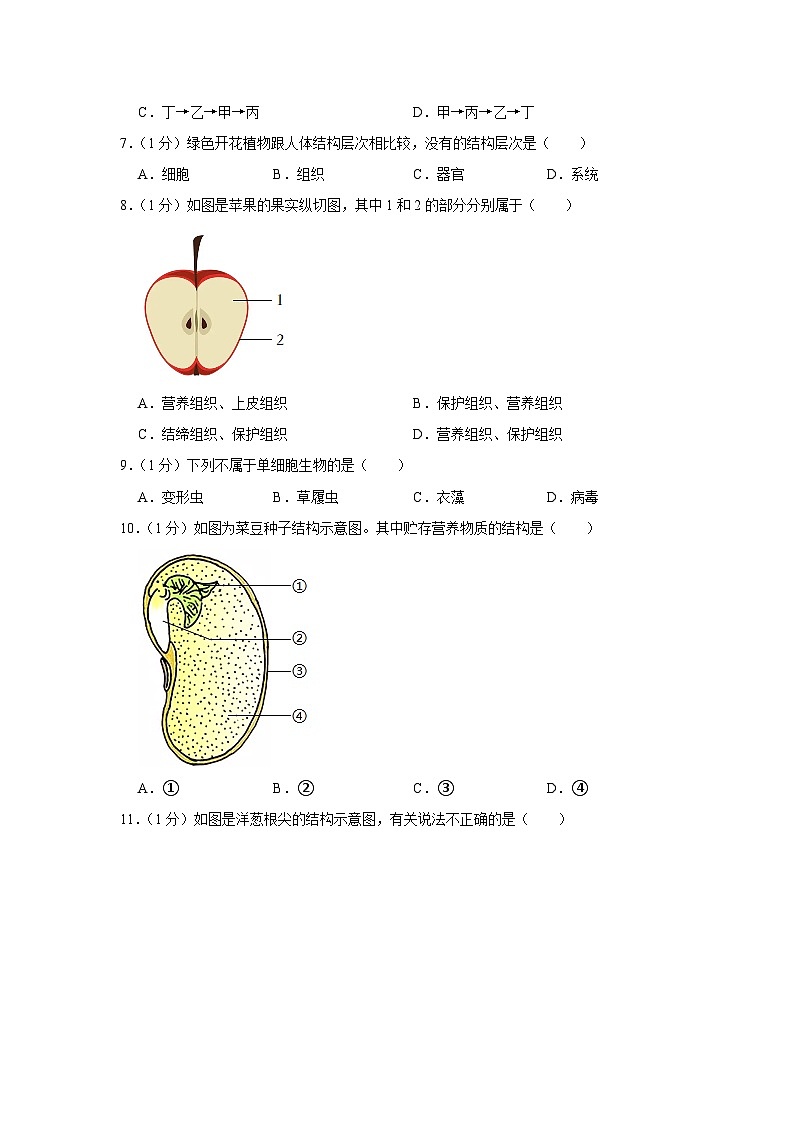 河南省洛阳市偃师区2023-2024学年七年级上学期期末生物试卷+第2页