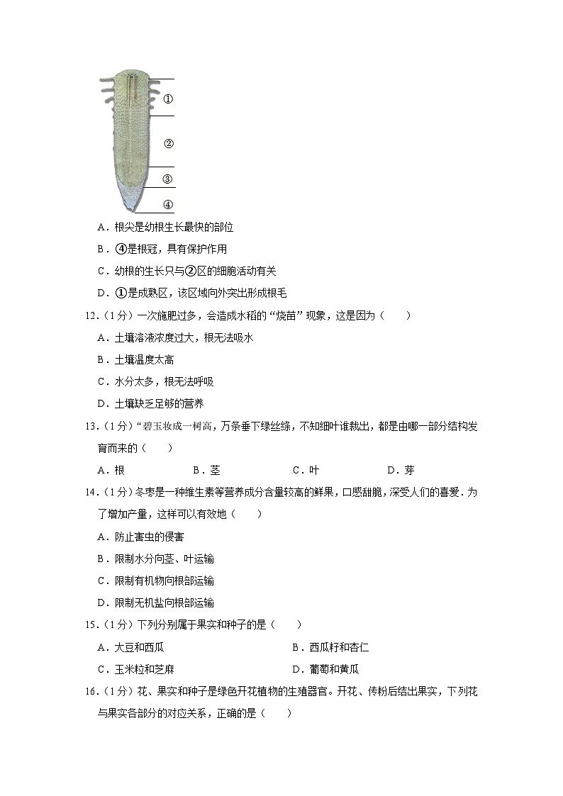 河南省洛阳市偃师区2023-2024学年七年级上学期期末生物试卷+第3页