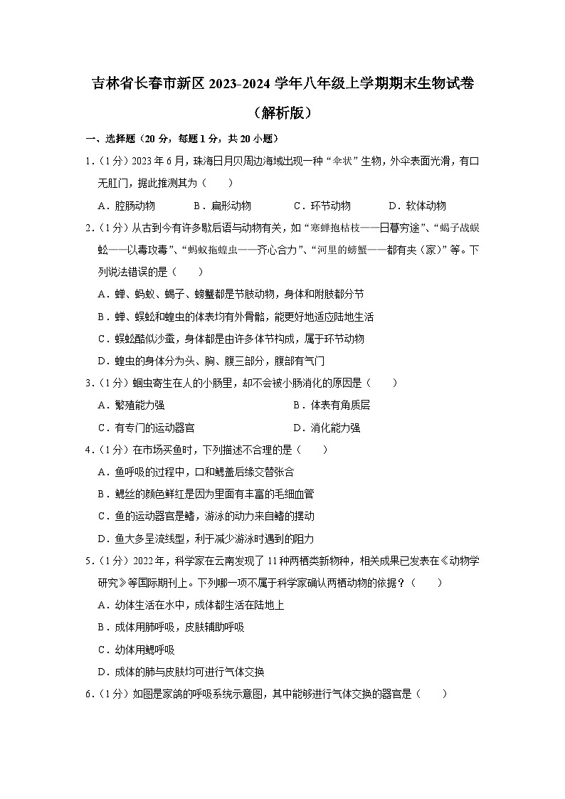 吉林省长春市新区2023-2024学年八年级上学期期末生物试卷+第1页